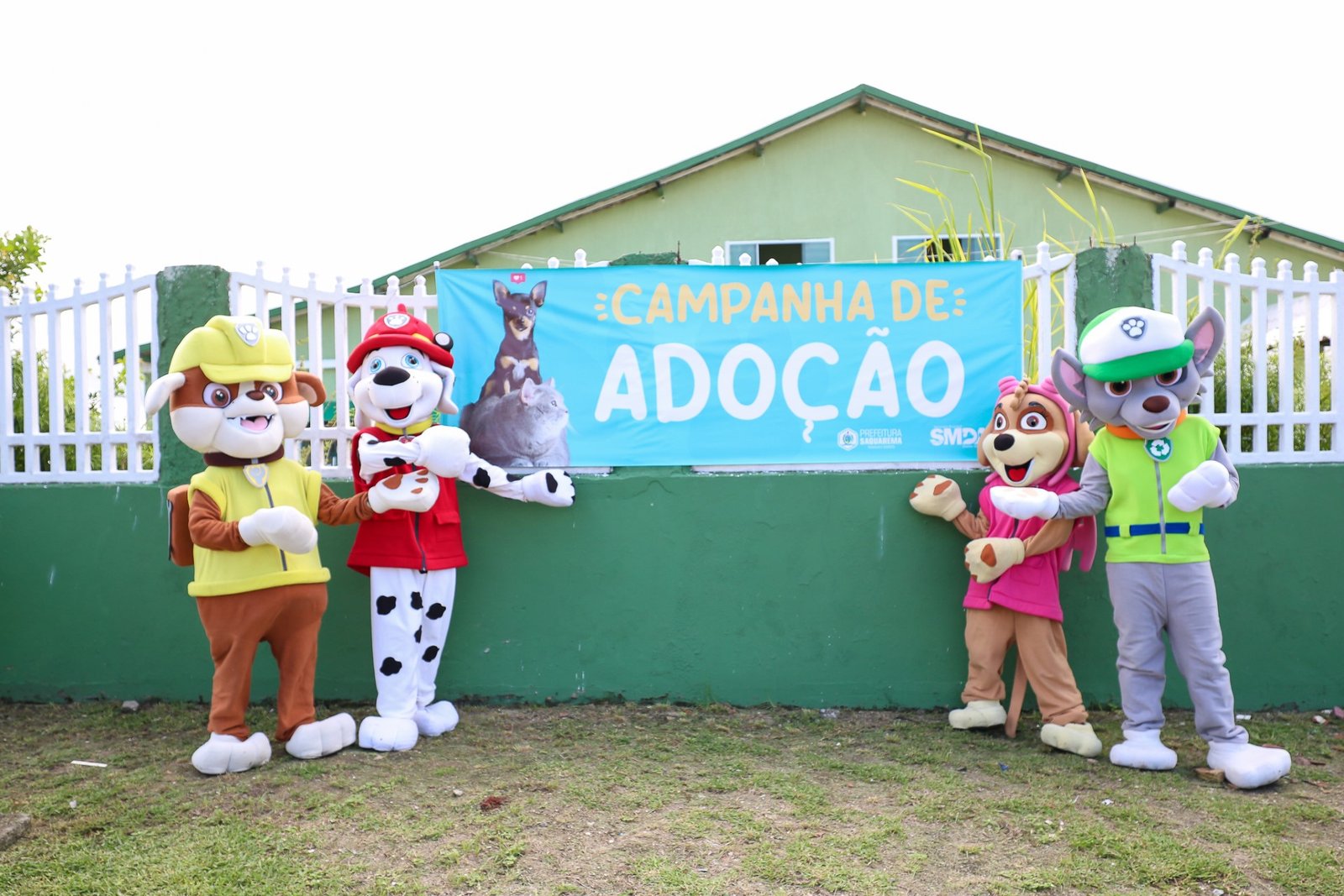 Campanha de Adoção de Animais Domésticos em Saquarema