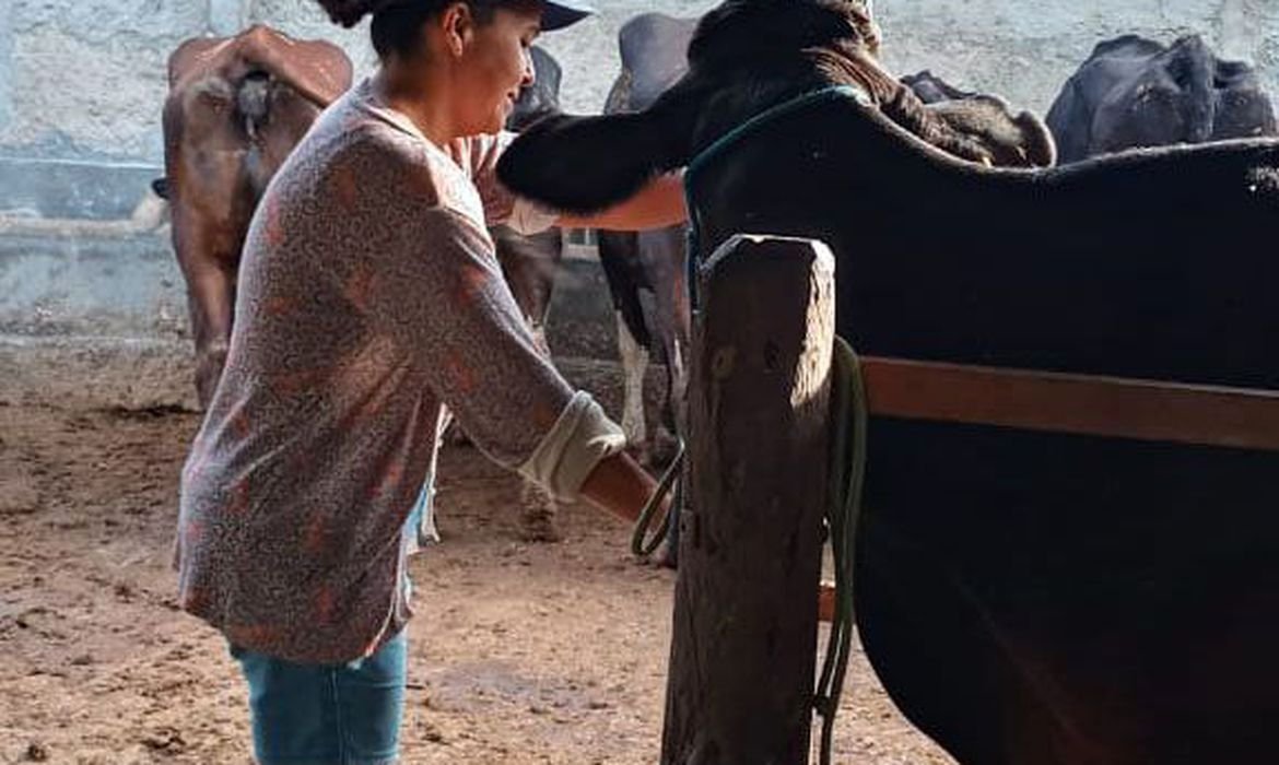 São Paulo (SP) - No sertão do nordeste brasileiro, a produtora rural Rafaela Alves conta os desafios com a produção do gado leiteiro. Rafaela e sua filha Ana Luiza, na pequena propriedade de gado leiteiro em Sergipe. Foto: Arquivo Pessoal