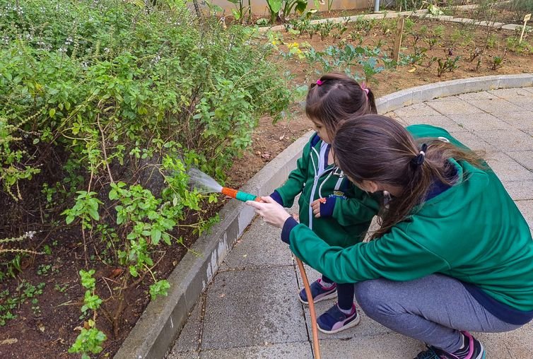 Alimentação escolar: projetos brasileiros são exemplo de boas práticas