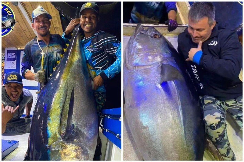 Equipe de pescadores de Niterói registra a pesca de atum raro de 155 kg