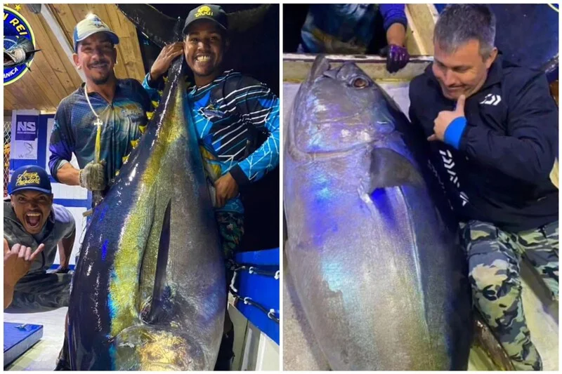 Equipe de pescadores de Niterói registra a pesca de atum raro de 155 kg