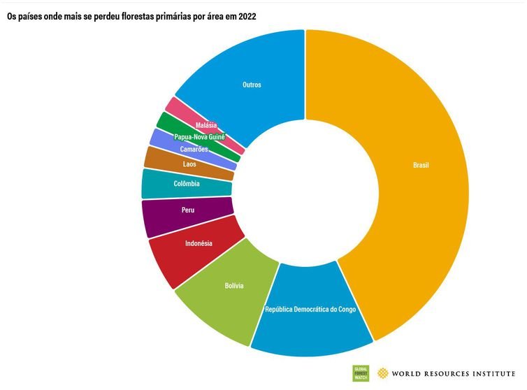 Perda de florestas tropicais primárias aumentou 15% no Brasil em 2022