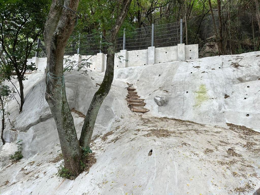 Prefeitura conclui com sucesso obra de recuperação de encosta no Morro da Paz