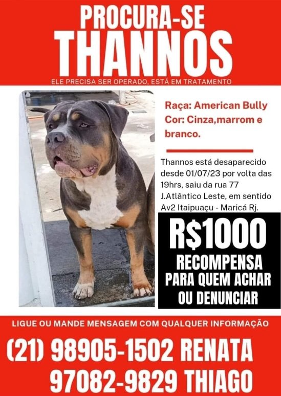Família de Itaipuaçu busca desesperadamente por cachorro desaparecido