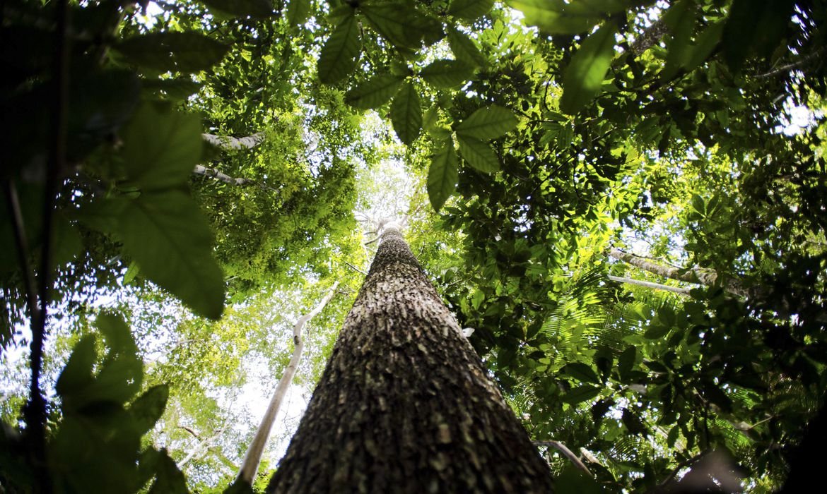 Governo considera ampliar a faixa de fronteira da Amazônia Legal