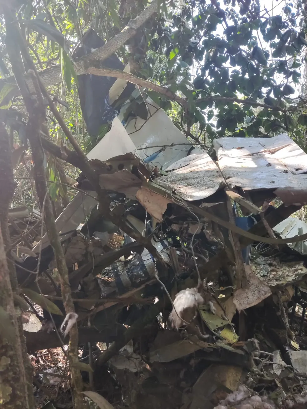 Pecuarista e filho perdem a vida após queda de avião na divisa de RO e MT