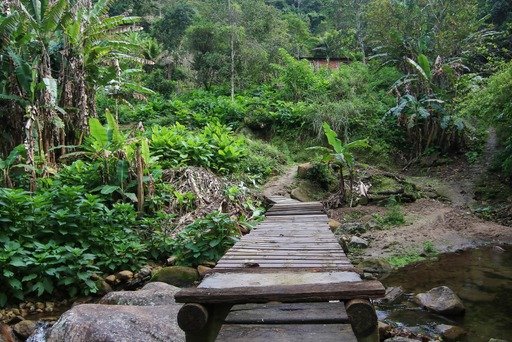 Prefeitura de Saquarema promoverá "Um Dia no Parque 2023"