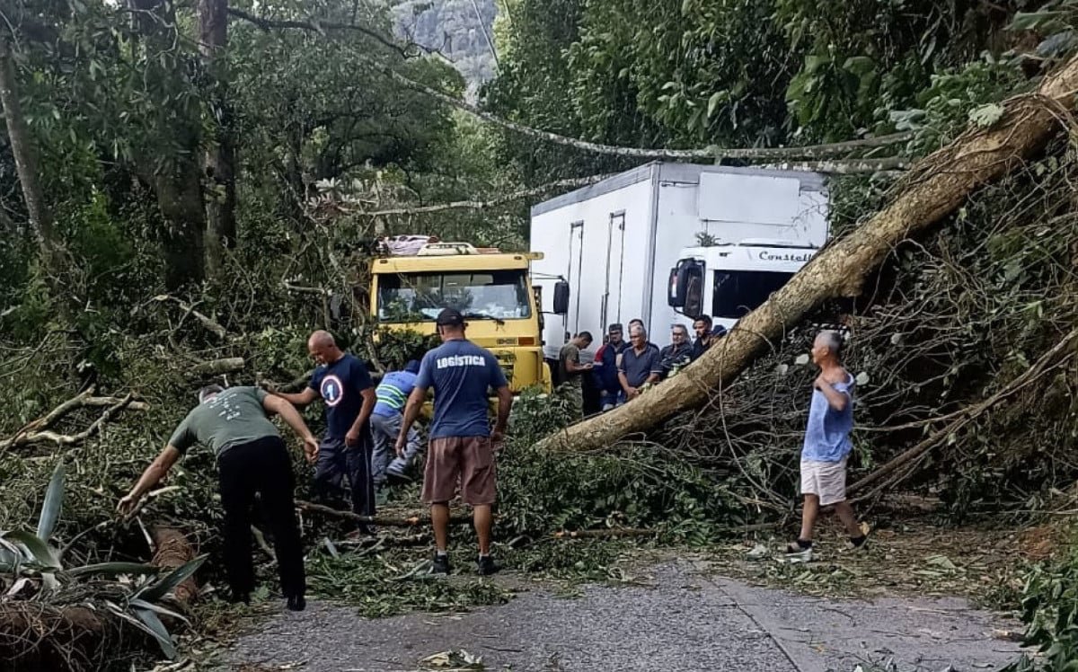 Vendaval causa estragos em Petrópolis e impede acesso à serra
