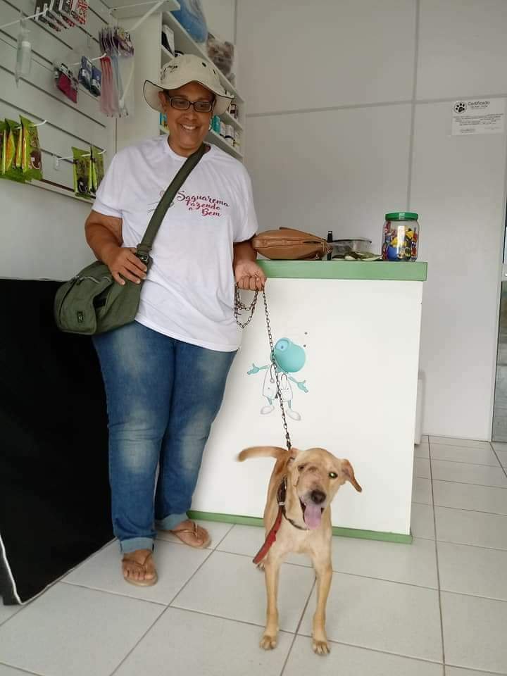 Protetores de Animais buscam meios de conseguir alimentar resgatados das ruas