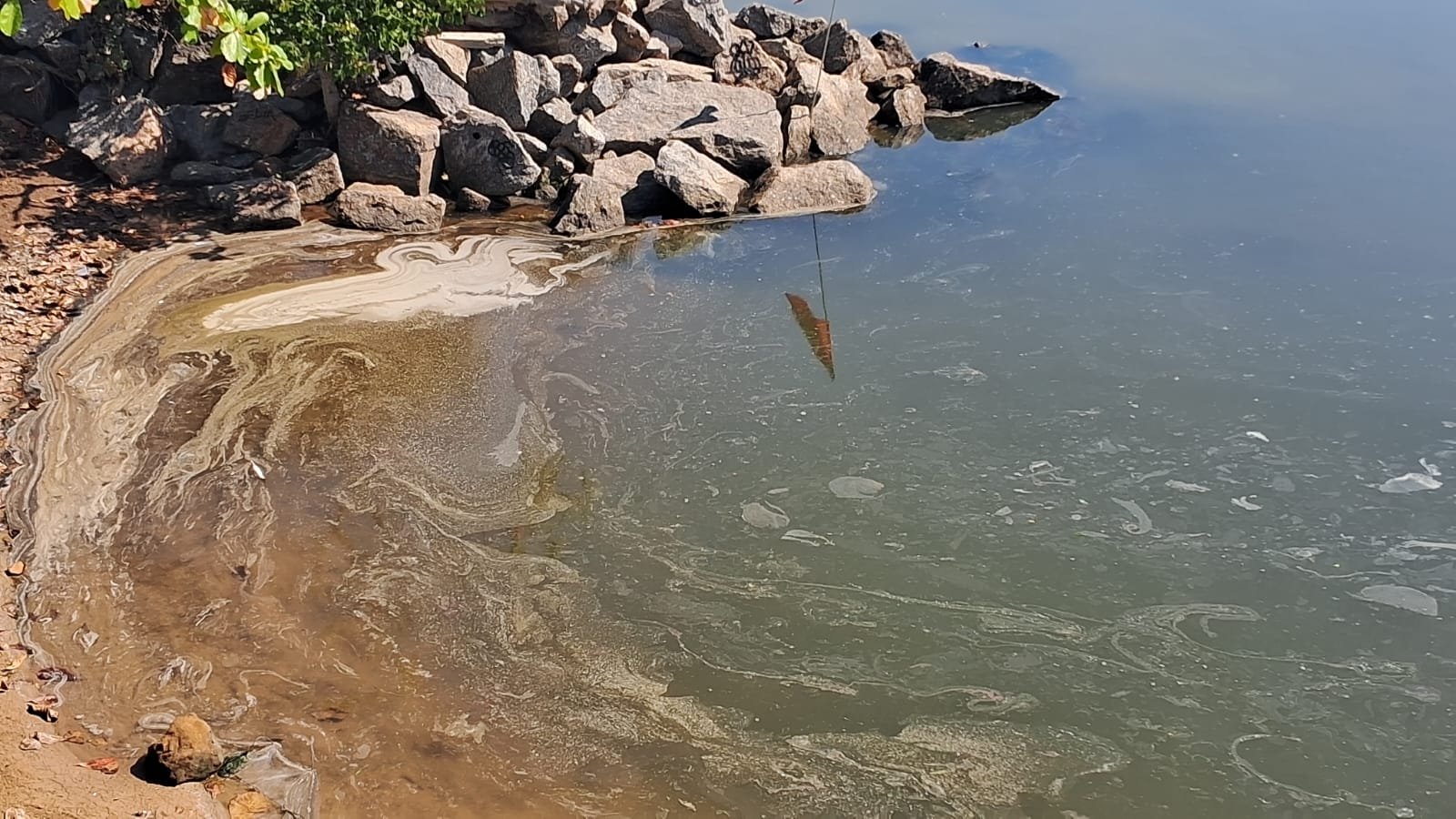 Lagoa de Itaipu agoniza enquanto Niterói é premiada por saneamento