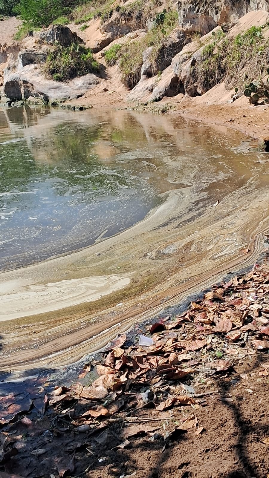 Lagoa de Itaipu agoniza enquanto Niterói é premiada por saneamento