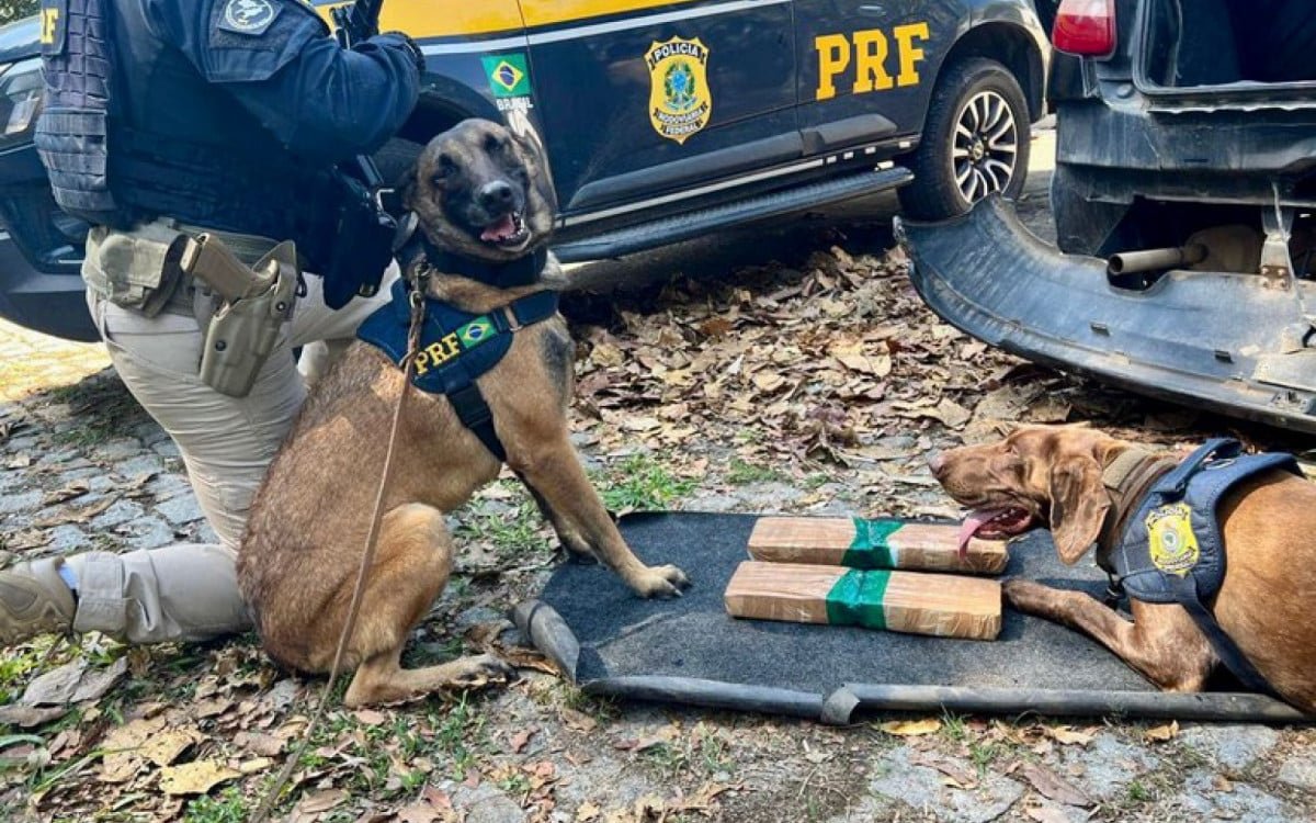 PRF apreende quase 4kg de cocaína