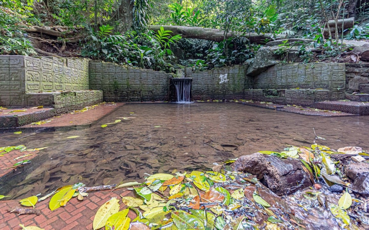 Parque Natural da Cidade passa por obras de revitalização