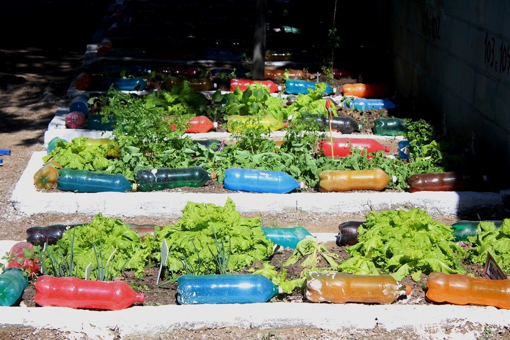 Programa de alimentação saudável em São Gonçalo
