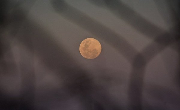 Superlua de esturjão iluminará os céus do Brasil nesta terça-feira