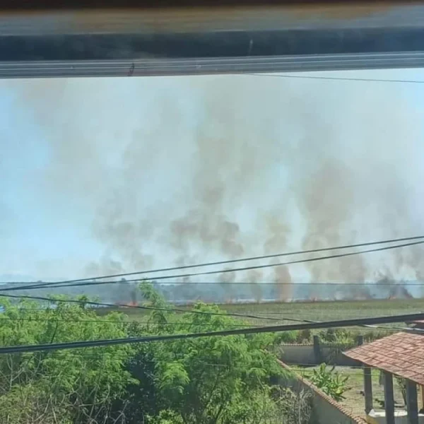 Bombeiros combatem incêndio em área de mata de Saquarema
