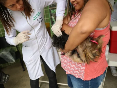 "Dia D" de vacinação antirrábica é sucesso em Saquarema