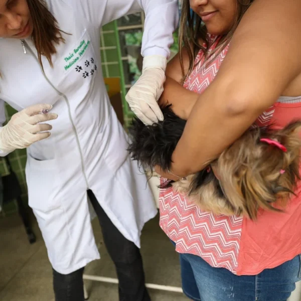 "Dia D" de vacinação antirrábica é sucesso em Saquarema
