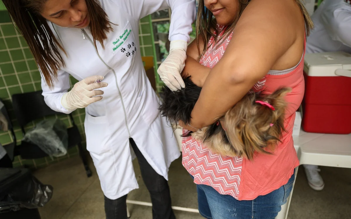 "Dia D" de vacinação antirrábica é sucesso em Saquarema