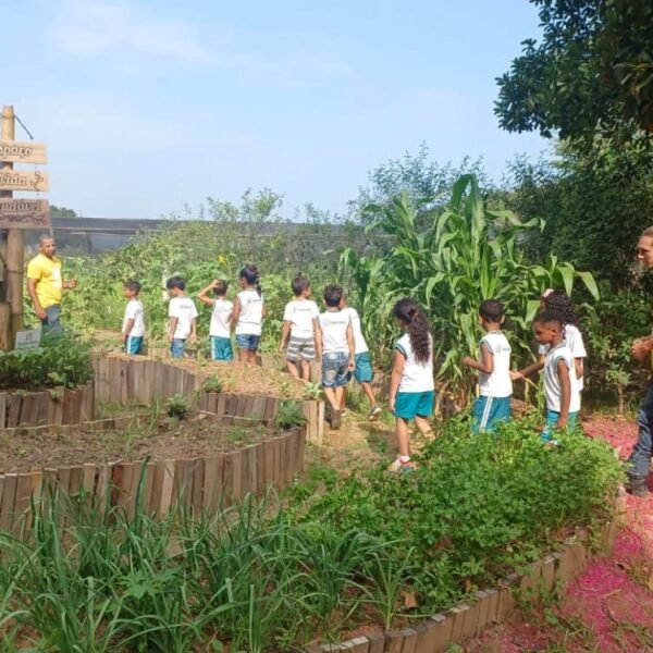 Estufa da Prefeitura de Saquarema é atração para alunos