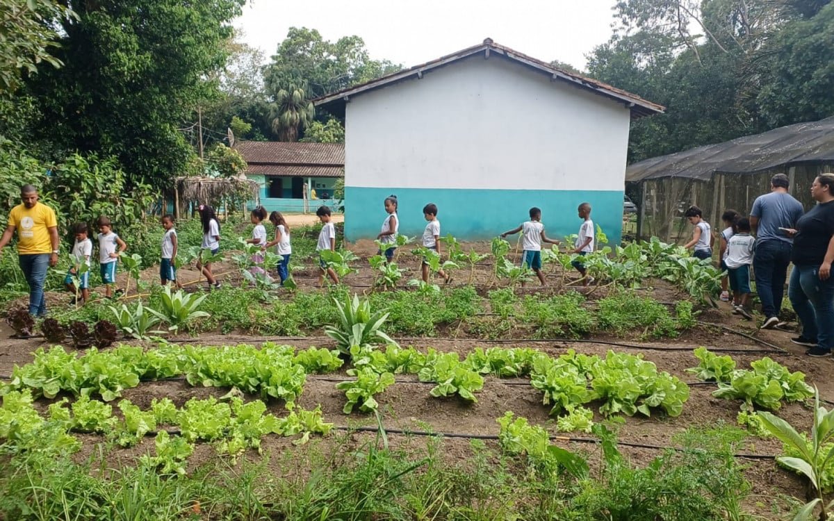 Estufa da Prefeitura de Saquarema é atração para alunos