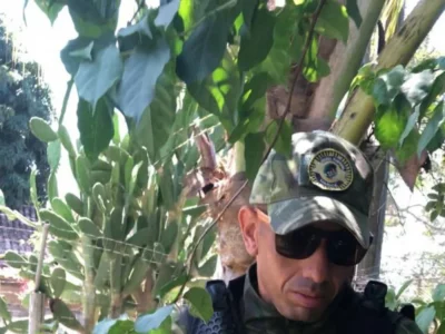 Guarda Municipal resgata jiboia de dois metros em Maricá