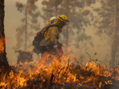 Metodologia inovadora usa IA para detectar incêndios florestais