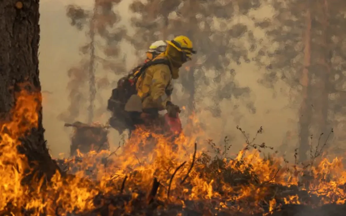 Metodologia inovadora usa IA para detectar incêndios florestais