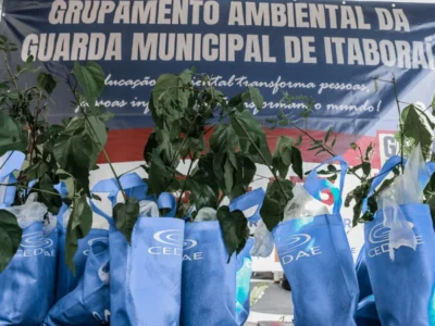 Itaboraí celebra Dia da Árvore com plantio e ações de conscientização