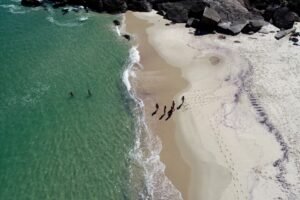 Niterói: Praia do Sossego é premiada com selo Bandeira Azul