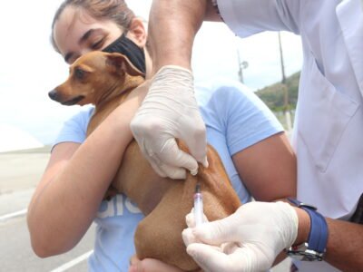 Niterói imuniza quase 20 mil animais contra raiva