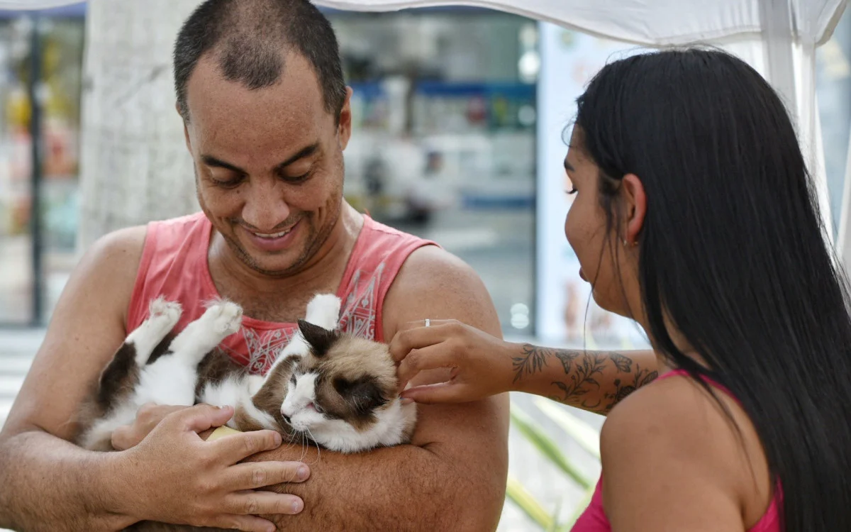 Adoção de cães e gatos em Maricá: 22 animais ganham novo lar