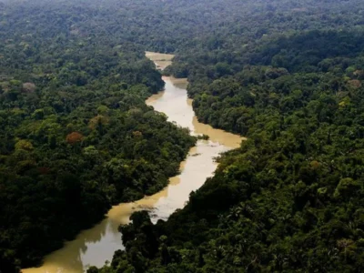 Governo avalia ampliação da defesa na fronteira da Amazônia