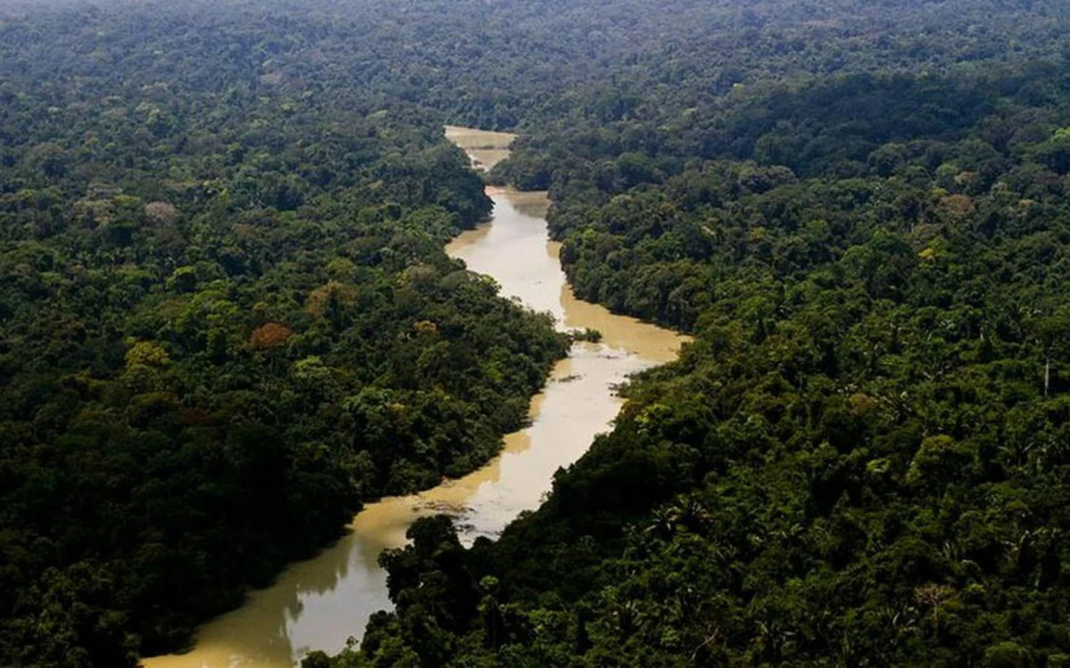 Desmatamento na Amazônia recua em setembro, segundo Inpe