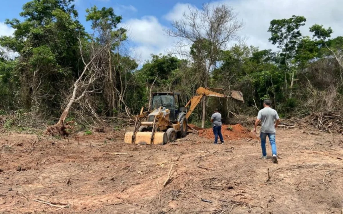 Inea e Marinha combatem desmatamento ilegal em APP de Araruama