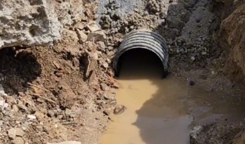 Niterói: Vereador denuncia "crime ambiental" no Sapê