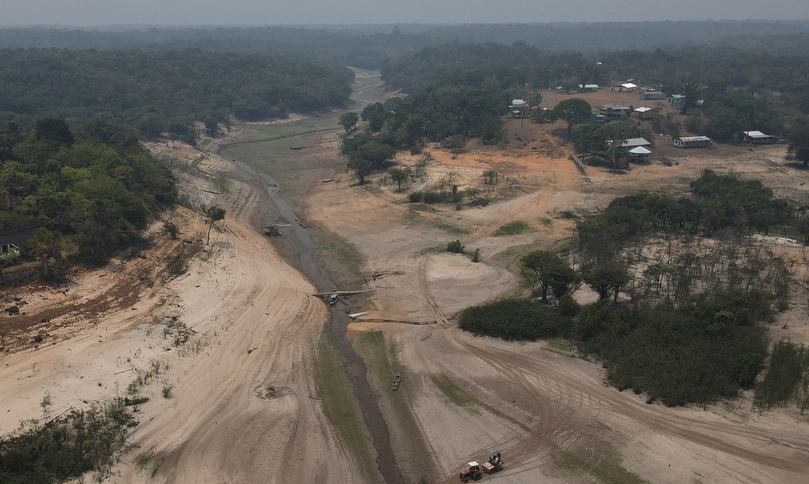 Saiba como desmatamento e queimadas influenciam tempo no Norte