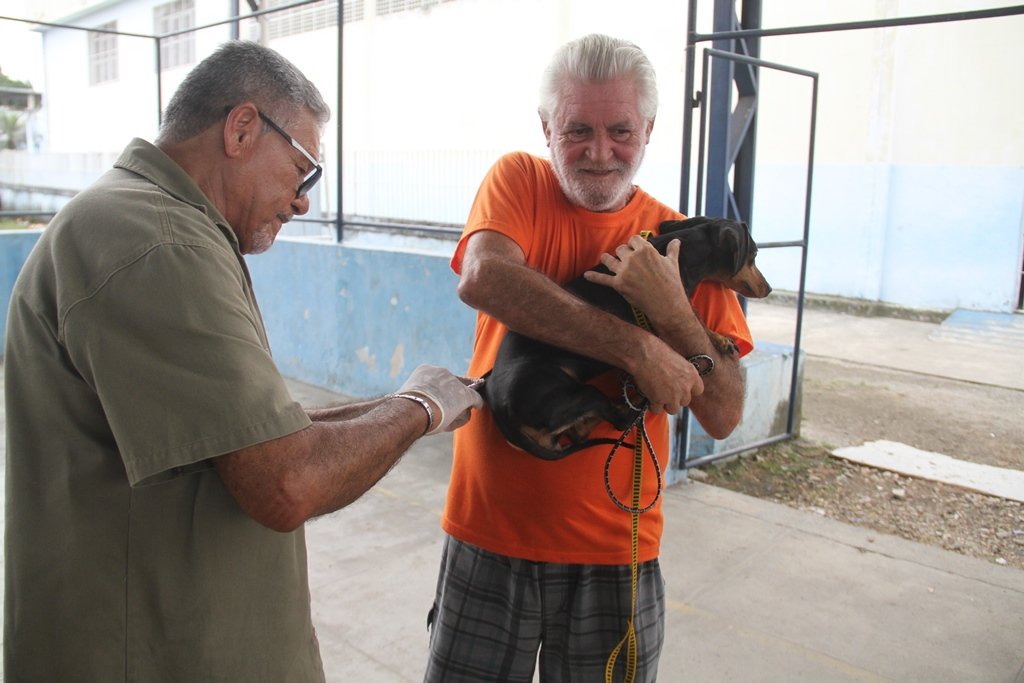 São Gonçalo imuniza mais de 65 mil animais contra a raiva