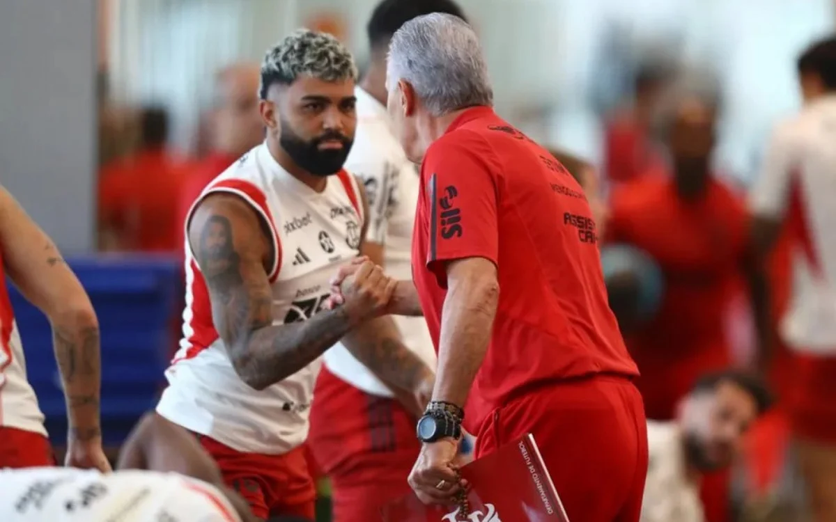 Tite e Gabigol: o encontro que o Flamengo esperava