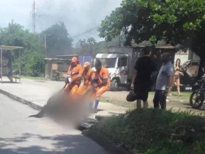 Três cavalos morrem atropelados em via expressa - VÍDEO