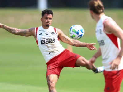 Allan e David Luiz voltam aos treinos do Flamengo