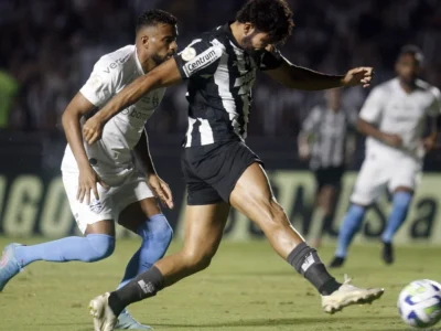 Botafogo diminui chances de título do Brasileirão