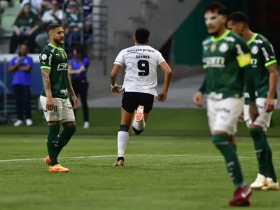 Botafogo e Palmeiras duelam pelo Brasileirão