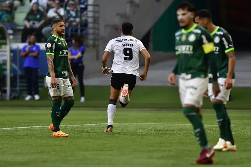 Botafogo e Palmeiras duelam pelo Brasileirão