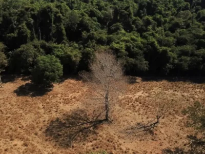 Estados já podem aderir ao programa de segurança da Amazônia