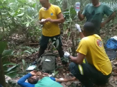 Lavrador é picado por sucuri no Amazonas e sobrevive