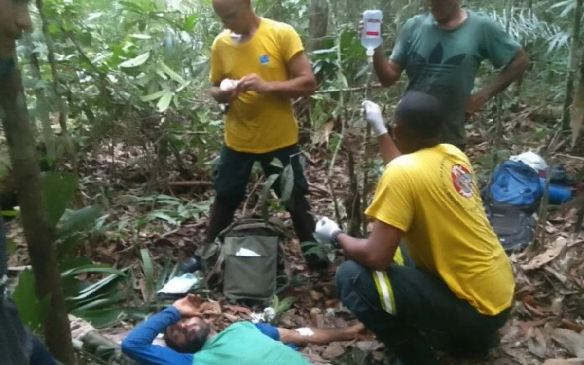 Lavrador é picado por sucuri no Amazonas e sobrevive