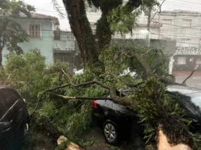 Número de mortos em temporal em SP sobe para seis
