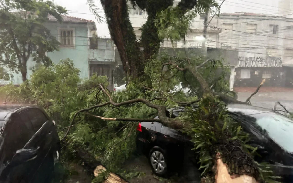 Número de mortos em temporal em SP sobe para seis