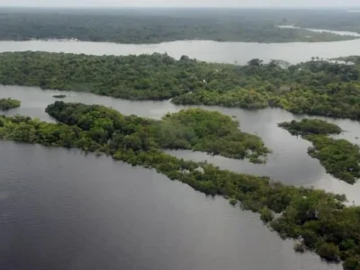Amazônia: Impacto da degradação vai além do desmatamento
